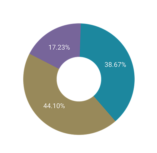 Pie chart representing generated reports